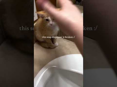 The soup dispenser is broken ￼