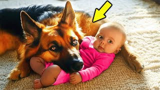 La Petite Fille Était En Grand Danger, Puis Son Chien Héros Fit L'Impensable !