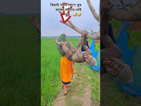 #গরমের_গান #comedysong #goromlagekhub #বিয়াই_কারেন্ত_ও #দুজন_মিলে_কাটবো_সাতার #biyan_gorom_lage_khu