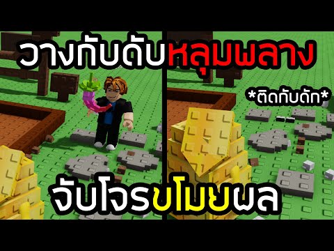 ผมวางกับดักจับโจรขโมยผลใน Roblox Grow a Garden