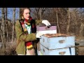 Beekeeping: Overwintering Challenges and Solutions