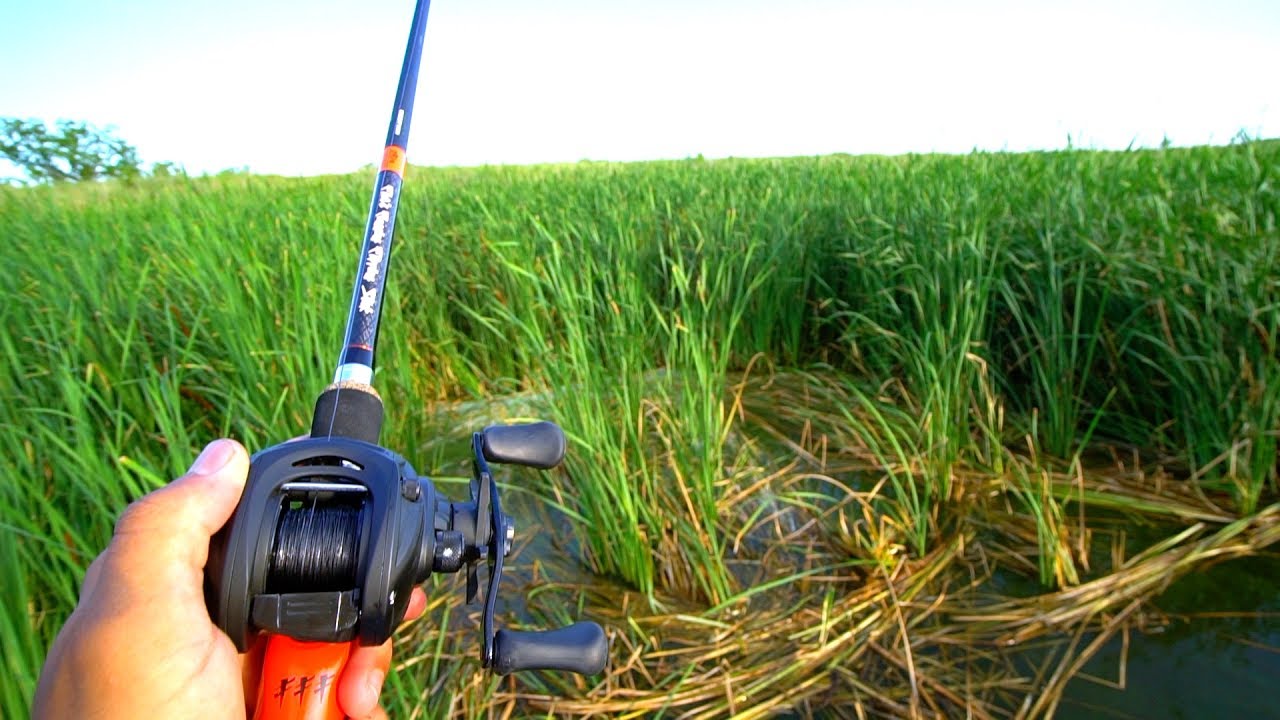PUNCHING for Bass in THICC Grass