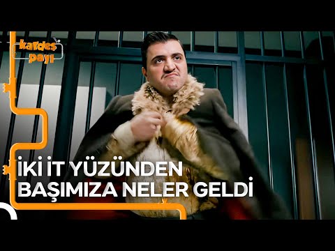 Sabah Yürek Yiyip Çıkıyorum Ben Evden | Kardeş Payı