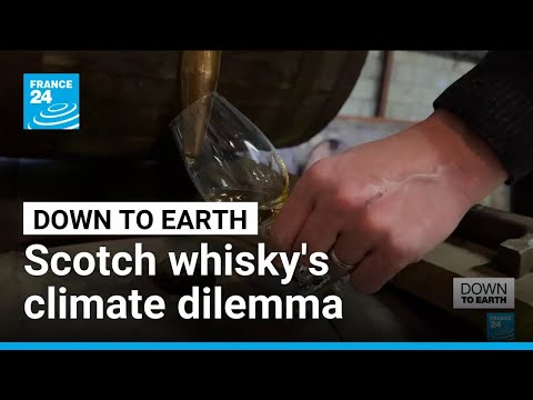 YouTube video thumbnail: To Peat, or not to Peat? Scotch Whisky's Iconic Ingredient at Heart of Climate Concerns