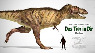 Vom Einzeller zum Dinosaurier zum Mensch - Die wahre Geschichte | Doku