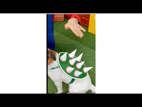 Mario Pets an Angry Dog ? #shorts