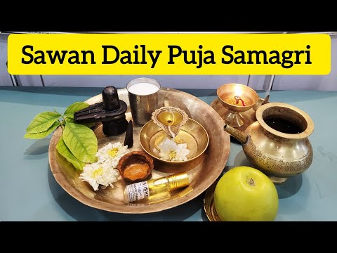 कम से कम समान के साथ सावन में शिव जी पूजा ll Sawan Daily Puja Samagri Easy ll Vrat Vidhi Upay