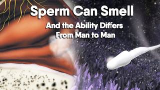 Fertilization- Sperm Can Smell — And the Ability Differs From Man to Man