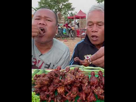 นกกระทา