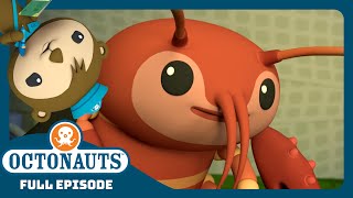 @Octonauts - 🐠 The Crawfish 🪸 | Season 4 | Full Episode | Cartoons for Kids