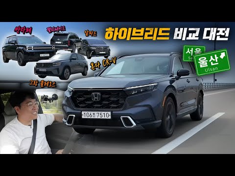 서울-울산 하이브리드 비교 대전! 연비 왕은 누구일까? feat. 모트라인
