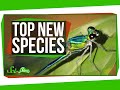 Exploration of New Species and Technological Innovations