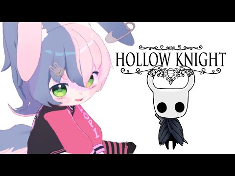 I'm a Hollow Knight Expert