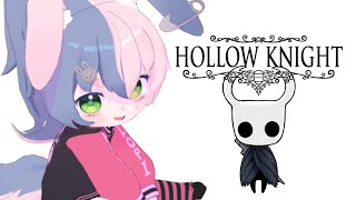 I'm a Hollow Knight Expert