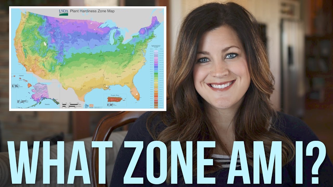 US Plant Zones: Explained