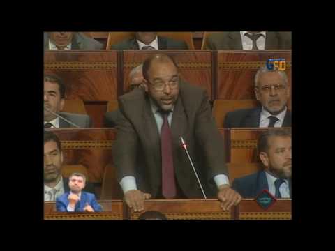 (02) كردي، صدقي حول حصيلة الحكومة في مجال تعميم الكهرباء