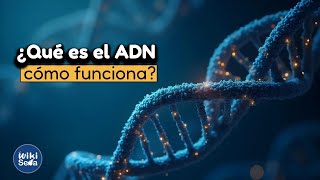 ¿Cómo funciona el ADN? La molécula que te hace ser quien eres 🧬 | Explicación completa
