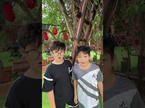 NGÔI NHÀ Ở TRÊN CÂY #phadene #shorts