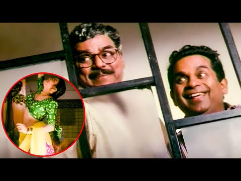 బ్రహ్మానందం మాంచి ఆటగాడే | Brahmanandam - Kota Srinivasa Rao Best Comedy Scene | Volga Movie