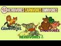 Understanding Animal Diets