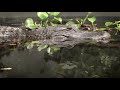 Watershed Management and Conservation Concepts