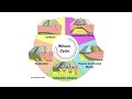 Wilson Cycle and Plate Tectonics