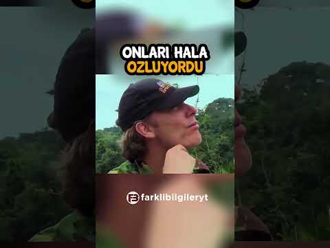 Çocukluğu gorillerle geçti 🥺 via @BradNolanz