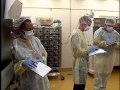 Animal Research and Welfare Concepts