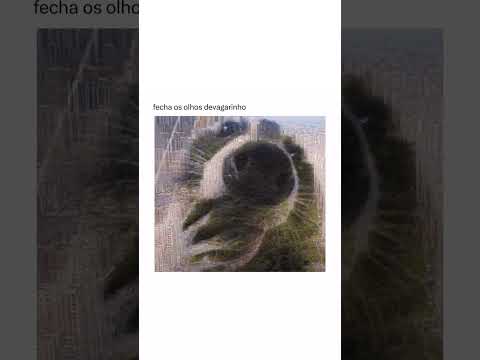 #memes #videoviral