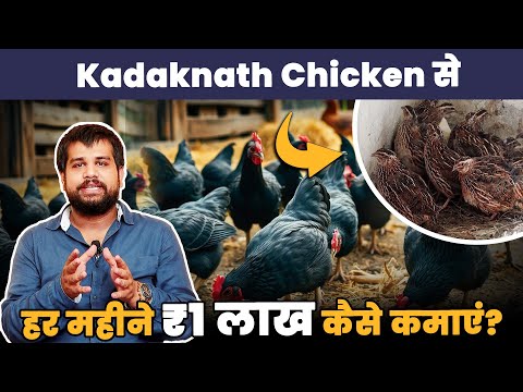 Kadaknath Chicken Farming के लिए कितनी Investment चाहिए ? – Full Breakdown!