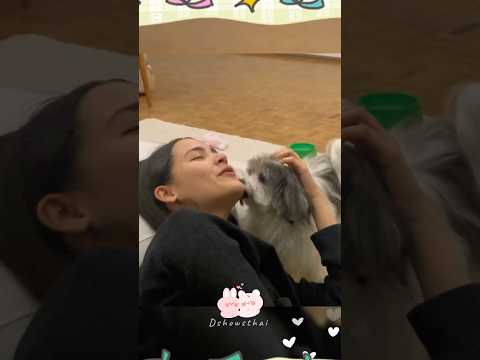 YayaIGpost🥰ณเดชน์ญาญ่าnadechyayayayaurassayas Dshows Thai YayaIGpost🥰ณเดชน์ญาญ่าnadechyayayayaurassayas