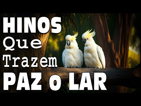 Hinos CCB 2023 - Hinos de silencio CCB para Dormir - Eu desejo, Senhor, só em Ti descansar