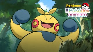 Nº 0296 Makuhita | Il Pokédex animato