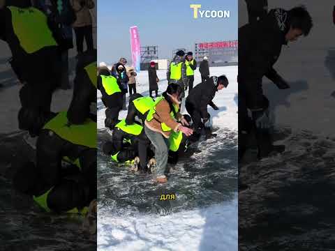 #ледянаяяма