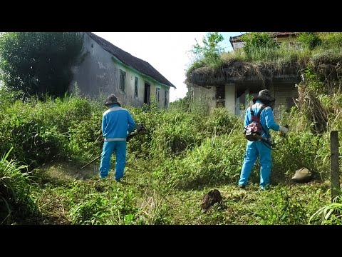 Squeaking and Mysteries In Abandoned Houses: What's Hiding? | Clean Up