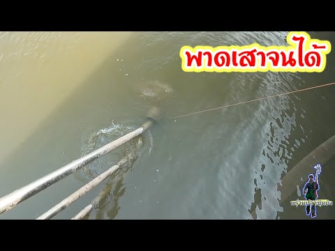 หาแผนสำรอง