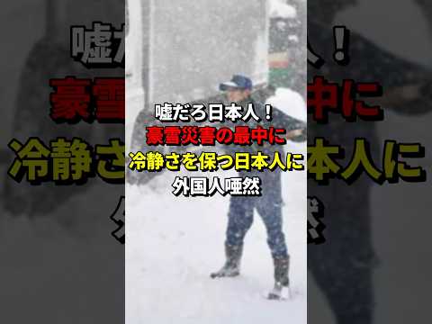 「嘘だろ日本人」豪雪災害の最中にも冷静さを保つ日本人に外国人唖然 #海外の反応 #日本の文化 #日本の風習