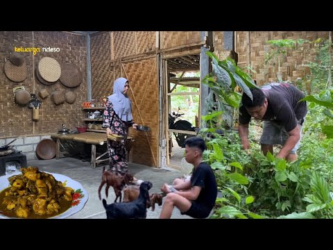 aktivitas sore bersama keluarga, masak ayam kecap super nikmat semua suka, masakan desa