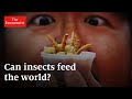 Insects as a Sustainable Food Source