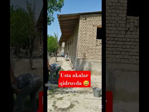 ‼️USTALAR BORMI BITTA LAYK 😅👍 - SIZ NIMA FIKRDA 😳‼️