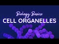 Exploring Cell Organelles and Their Functions
