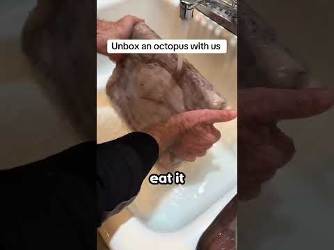 The best octopus cooking technique 🤣