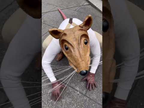 Have you seen #buddytherat in person? #newyork #doyourthing