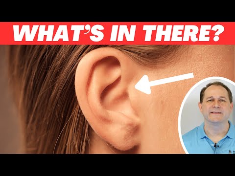 Why do we Actually have Earwax?