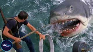 映画史上最恐のサメTOP10