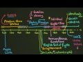 Human Rights Development and Concepts