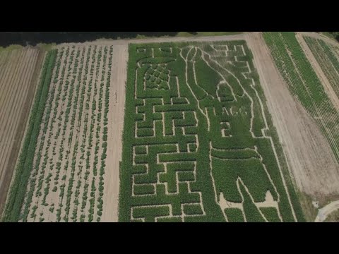 YouTube video thumbnail: Maine Corn Maze Pays Tribute to Cooper Flagg’s NBA Journey