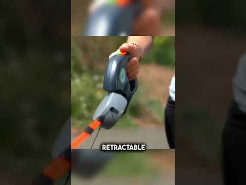 Walk Two Dogs Tangle-Free with This Device