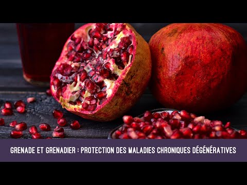 Grenade et grenadier : protection des maladies chroniques dégénératives