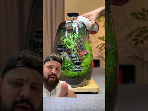 TERRÁRIO POR DELIVERY? Eu compraria! E você?